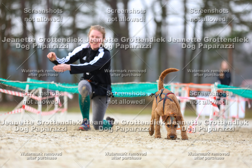 Dog Paparazzi - Strongdog North Mrz26-4044 | Dog Paparazzi Jeanette Grottendiek Fotografie & Videografie - Realisiert mit Pictrs.com