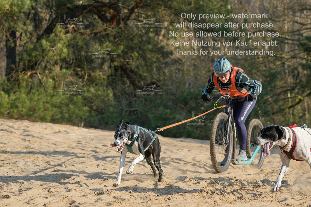 So_Scooter-89 | stephaniefillaphotographie - Realisiert mit Pictrs.com