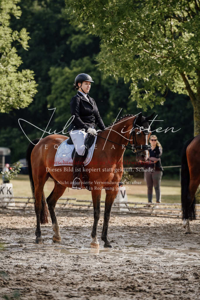 DSC_9002 | Pferde- und Turnierfotografie in Westsachsen. Pferdeportraits, Auftragszeichnungen und intuitive Kunst.