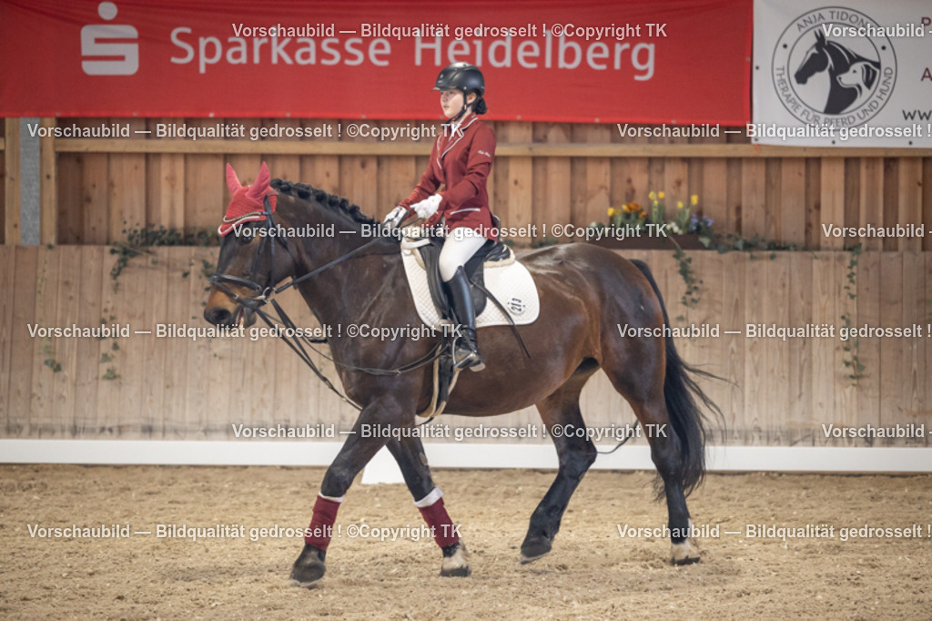_D5A5623 | Emotionale Pferde- & People-Fotografie rund um Heidelberg, Leimen & Umgebung. Natürliche Fotos von Pferd, Mensch & Familie. Jetzt Termin sichern!