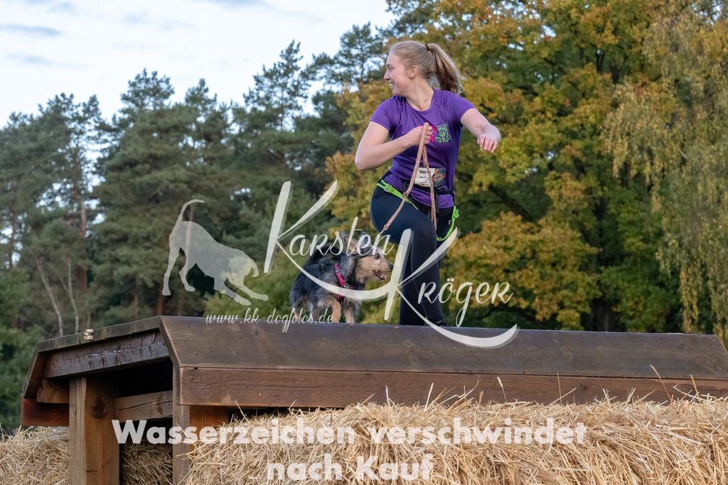 0811_ZZ94699-Bearbeitet | kk-dogfotos