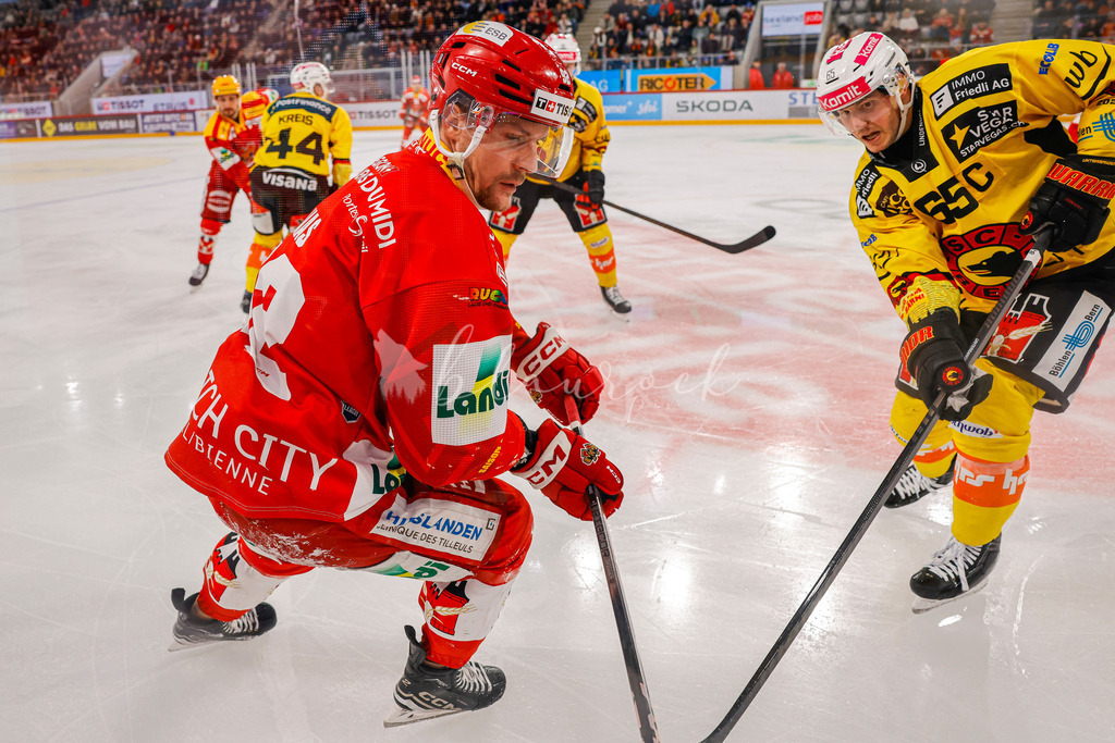EHCB vs SCB 20260110_wb-3199 | Sportbilder, Sportfotograf, Hochzeits- und Eventfotografin, Flugshows, Portraits und Tiershooting, Aviation, Downhill, Nationalleague, Swissleague, International