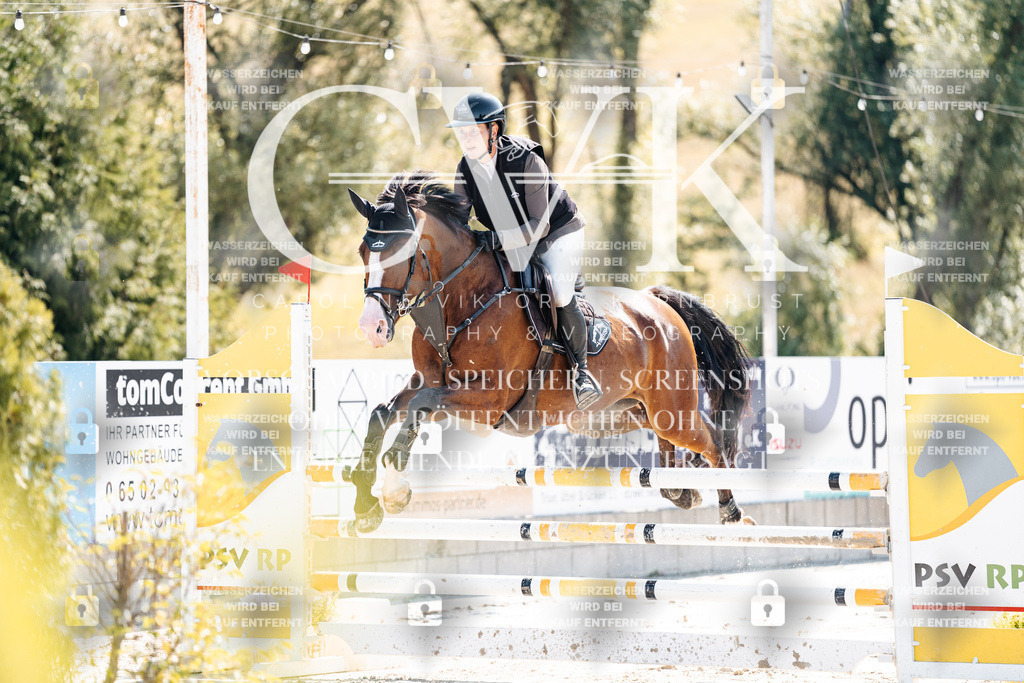 CK908351 | Turnierfotografie Pferdefotografie Trier Rheinland-Pfalz Pferdesport Reitsport Tierfotografie Sportfotografie Pferdevideo Pferdevideografie Equestrianvideography equestrianphotography  - Realisiert mit Pictrs.com
