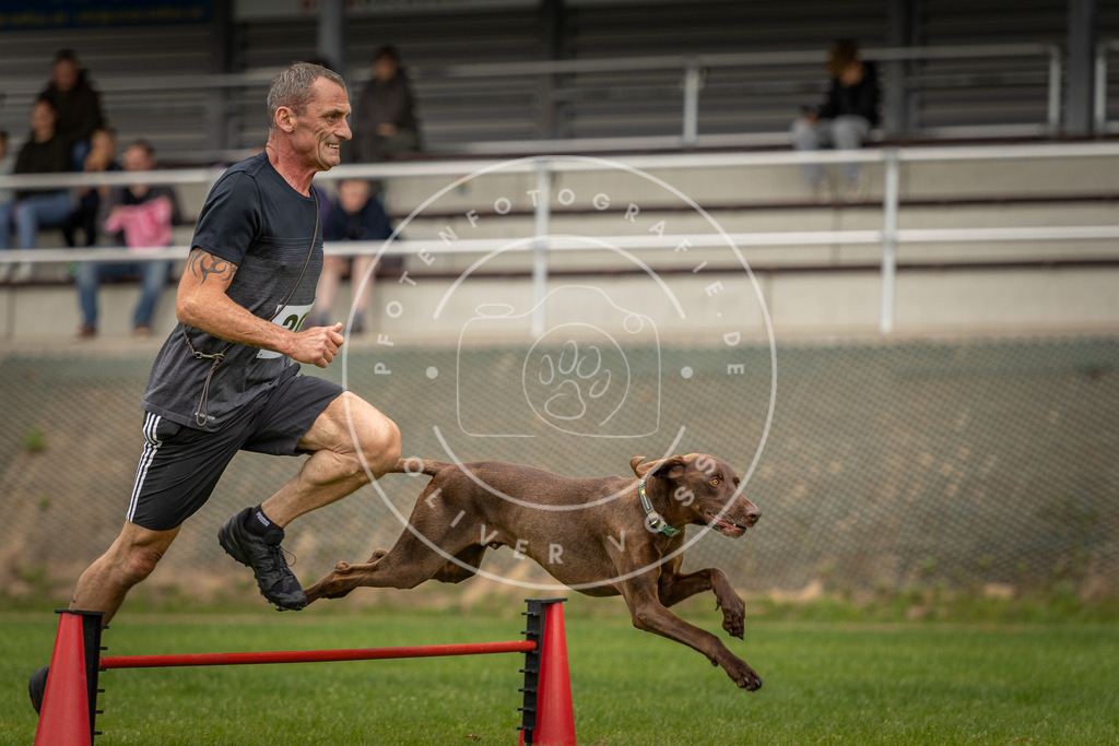 Pfotenfotografie_DV3A7808 | Hundefotografie, Tierfotograf, Pfotenfotografie, Fotoshooting Hund, Hunde Portrait, Hundesport, Hundeportraits, Heideshooting, Hunde, Sportfotograf, Hundefotograf, Turnierhundsport, THS,  - Realisiert mit Pictrs.com