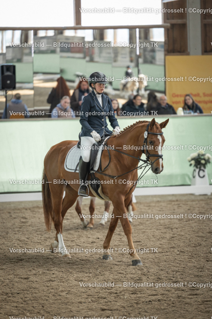 _D5A5628 | Emotionale Pferde- & People-Fotografie rund um Heidelberg, Leimen & Umgebung. Natürliche Fotos von Pferd, Mensch & Familie. Jetzt Termin sichern!