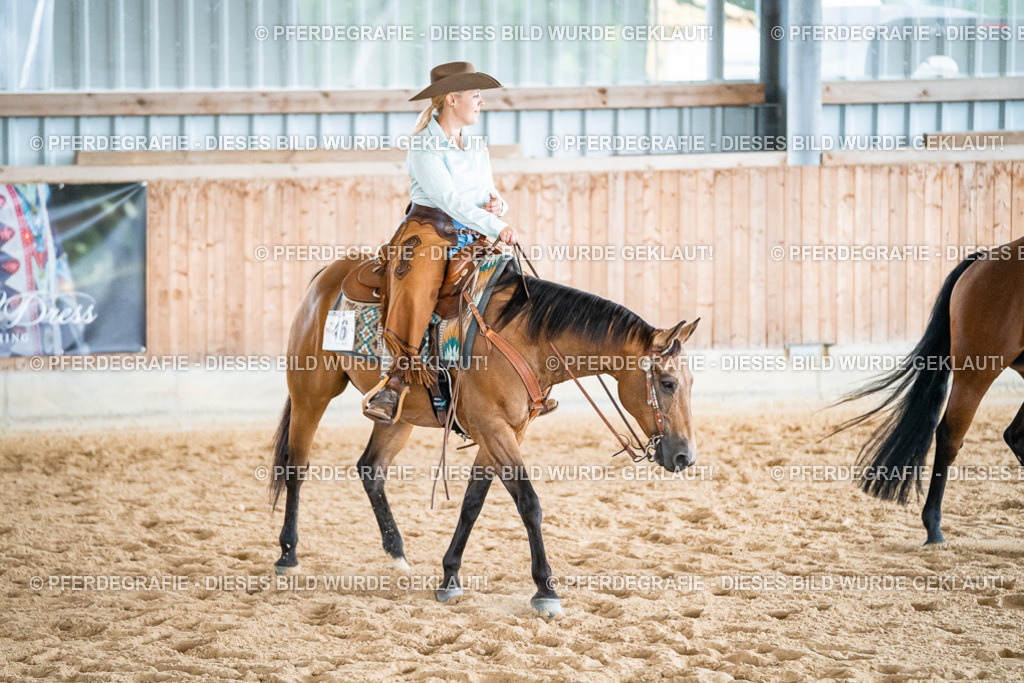 DSC00210 | Pferdegrafie