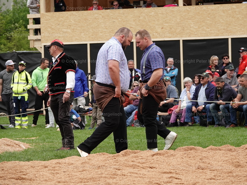 DSC07156 | Schwingen - Realisiert mit Pictrs.com