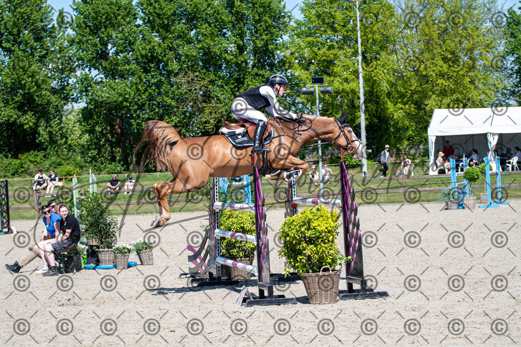 KPT_1191 | andre_photographic