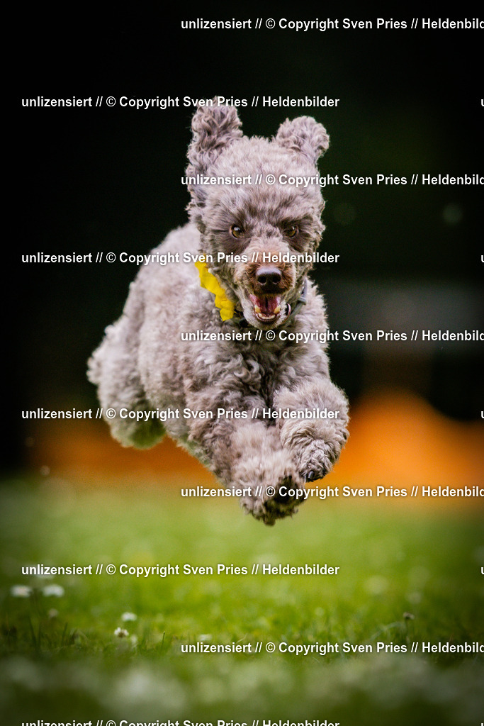 Sven Pries | 2025-05-29 - Pudelrennen KA-Durlach - Realisiert mit Pictrs.com