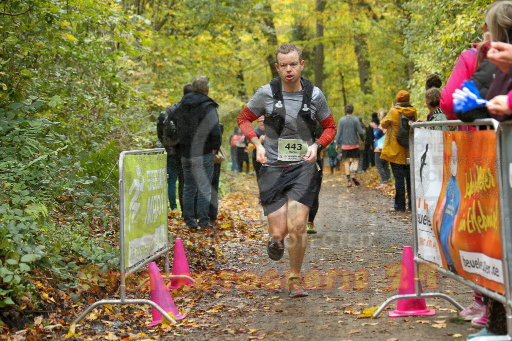 251026_1308_EX1_2631 | Sportfotografie im Rhein-Sieg Kreis, Köln, Bonn, NRW, Rheinland Pfalz, Hessen, etc. Unser Tätigkeitsfeld umfasst den Laufsport vom Volkslauf über den Marathon, Duathlon, Triathon bis zum Ultralauf wie Kölnpfad Ultra oder Schindertrail.