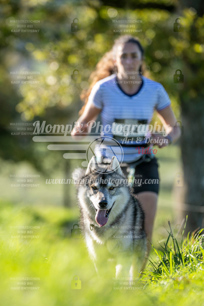 MompixPhotography_20TSB_E3_Run-209 | PayLife
