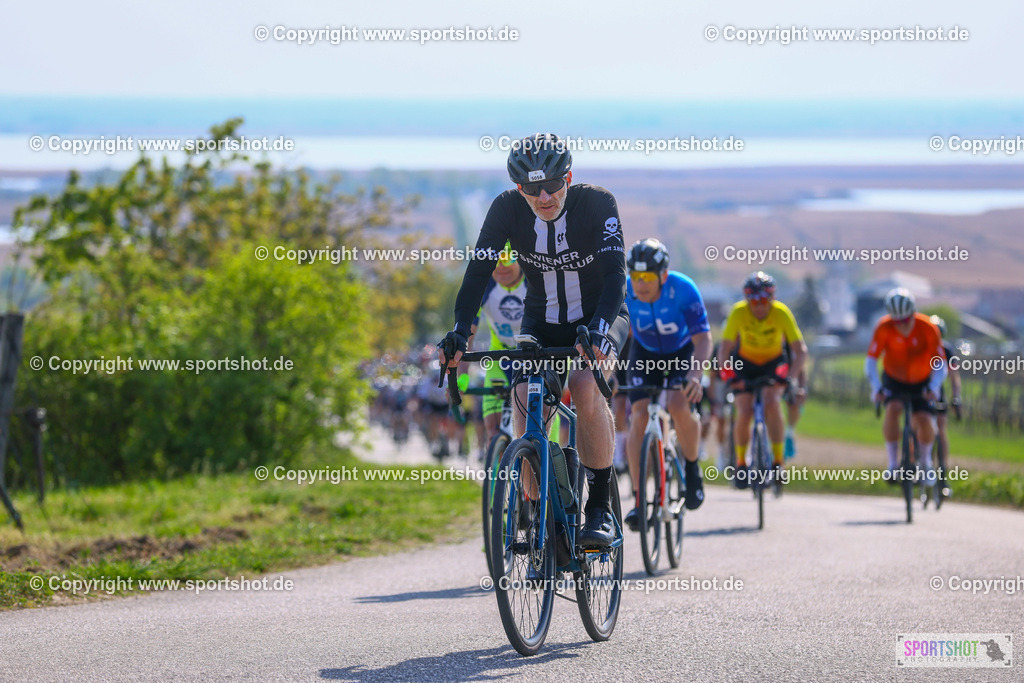 TRA_0957 | Neusiedlersee Radmarathon 2026@sportshot_your_pictrs #yourpictures#roadtowm2029 #nrm #neusiedlerseeradmarathon #neusiedlersee #neusiedlerseetourismus #burgenland #mörbisch #nrm26 #burgenlandtourismus #voglundco #poweredbyburgenlandtourismus #radsport #rad #marathon #ucigranfondo #visitburgenland #ucigranfondoworldseries