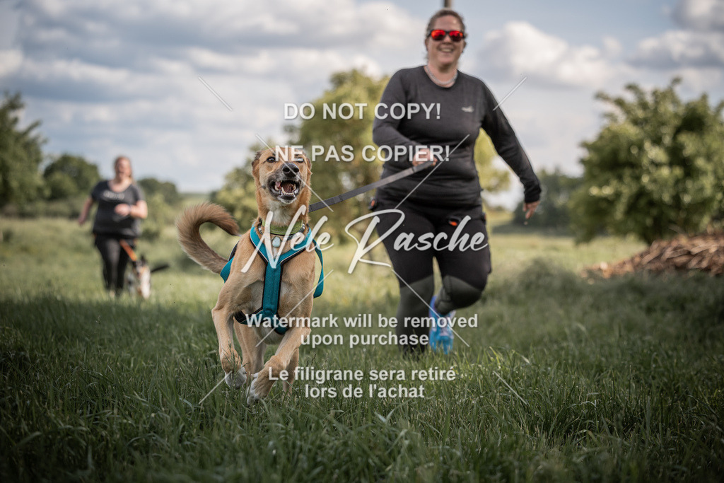 nelerasche_Do-spät_129 | nelerasche