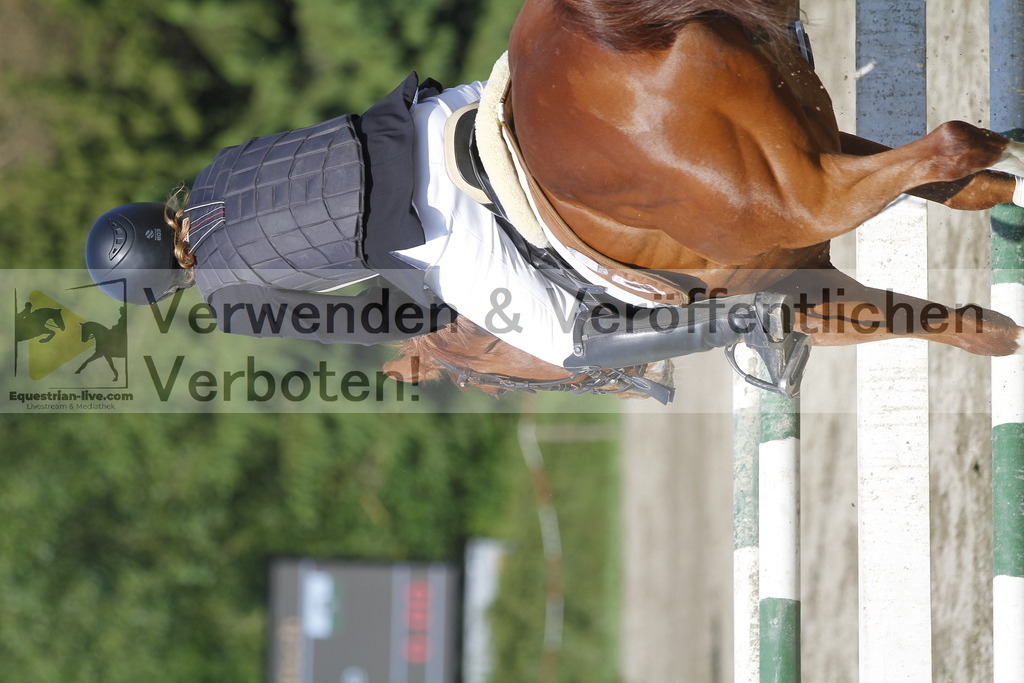 _MG_8031 | equestrian-live-com