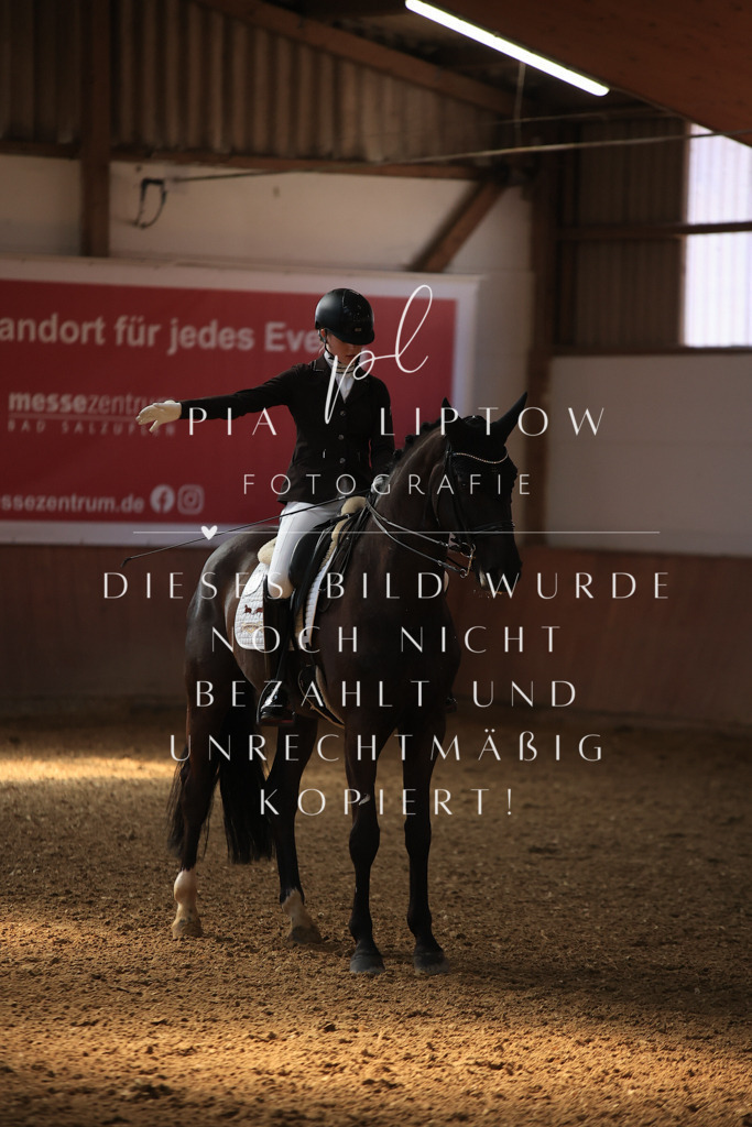 IMGT3111 | pl-fotografie