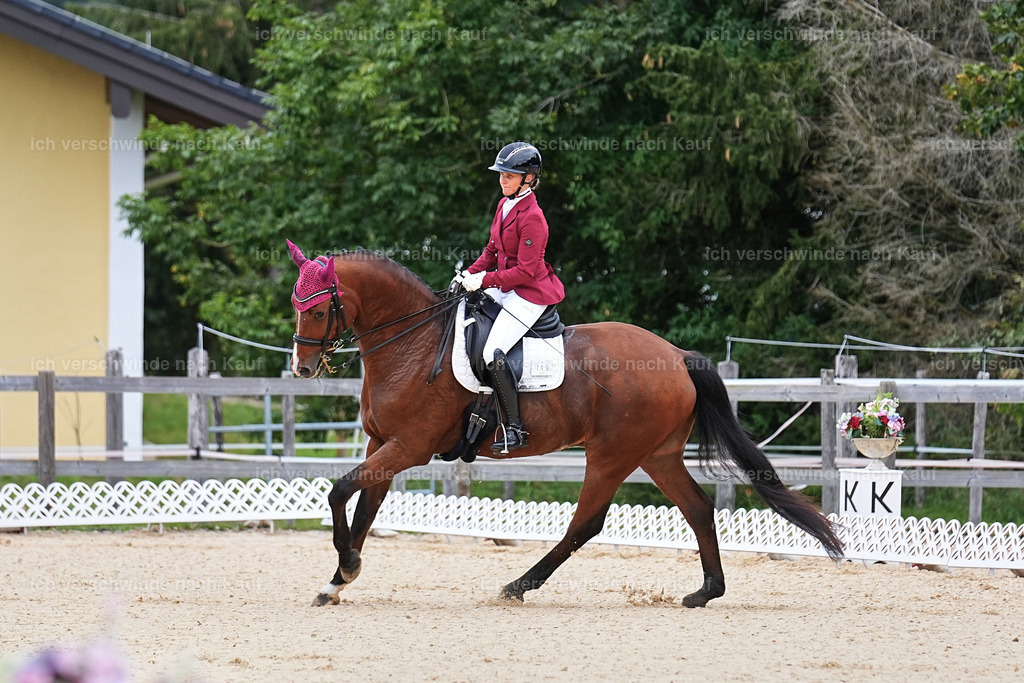 04_1-149-Dressur M__ -Marixx-2795 | working equitationturnier fotograf videograf stoibphotography marixx film working equitation deutschland reitsport turnierfotografie eventfotografie equestrian events