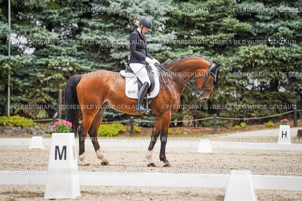 DSC04242 | Pferdegrafie