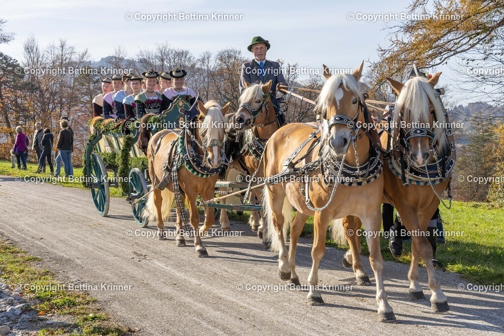 LBT24-1395 | foto-bettina-krinner - Realisiert mit Pictrs.com