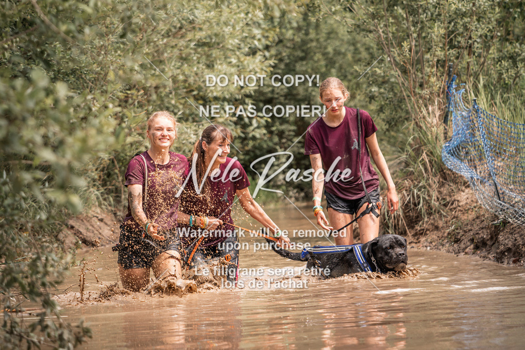nelerasche_Hoope2026_So1400-1430_62 | nelerasche