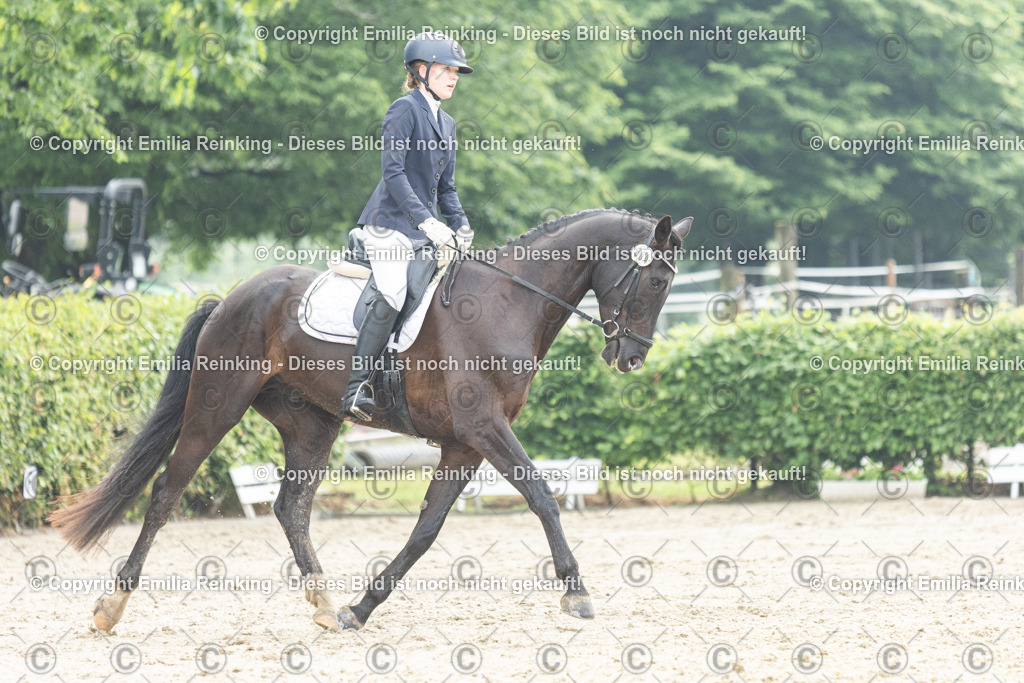 CL5A3221 | Emilia Reinking Fotografie - Realisiert mit Pictrs.com