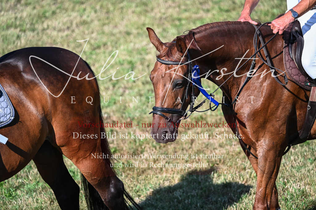 DSC_2615 | Pferde- und Turnierfotografie in Westsachsen. Pferdeportraits, Auftragszeichnungen und intuitive Kunst.