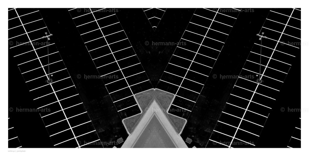 Hermann-Arts_Spiegelbilder_035 | Photo Foto Kunst Art schwarzweiss Bilder Rheine Münster Berlin Blumen 