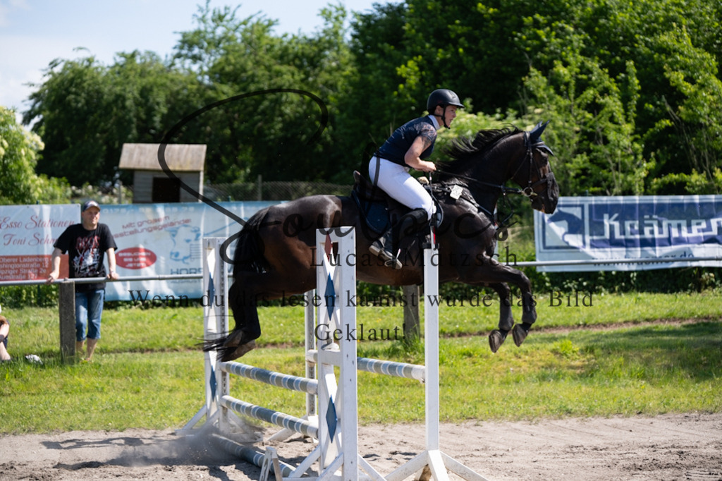 A7V03380 | Pferdefotograf