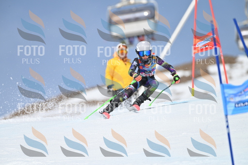 BGV_3298 | holidayphoto