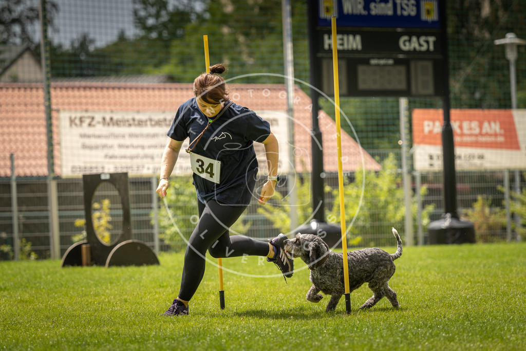 Pfotenfotografie_DV3A2526 | Hundefotografie, Tierfotograf, Pfotenfotografie, Fotoshooting Hund, Hunde Portrait, Hundesport, Hundeportraits, Heideshooting, Hunde, Sportfotograf, Hundefotograf, Turnierhundsport, THS,  - Realisiert mit Pictrs.com