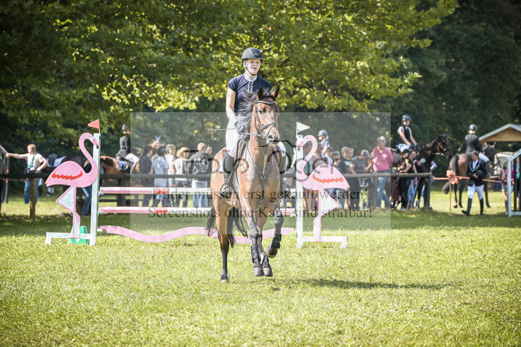 DOS_0387 | Entdecke hochwertige Reitturnierfotos von Foto Oger. Professionell, emotional und authentisch – jetzt Lieblingsmomente im Shop bestellen.Deutschlandweite Turnierfotografie. - Realisiert mit Pictrs.com