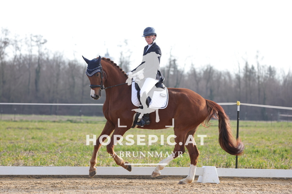 0P6A5940 | Willkommen bei Brunnmayr - Design & Fotografie – Ihrem Spezialisten für Reitturniere und Pferdeveranstaltungen in Oberösterreich, Salzburg und Bayern! Seit über 17 Jahren sind wir leidenschaftlich dabei.