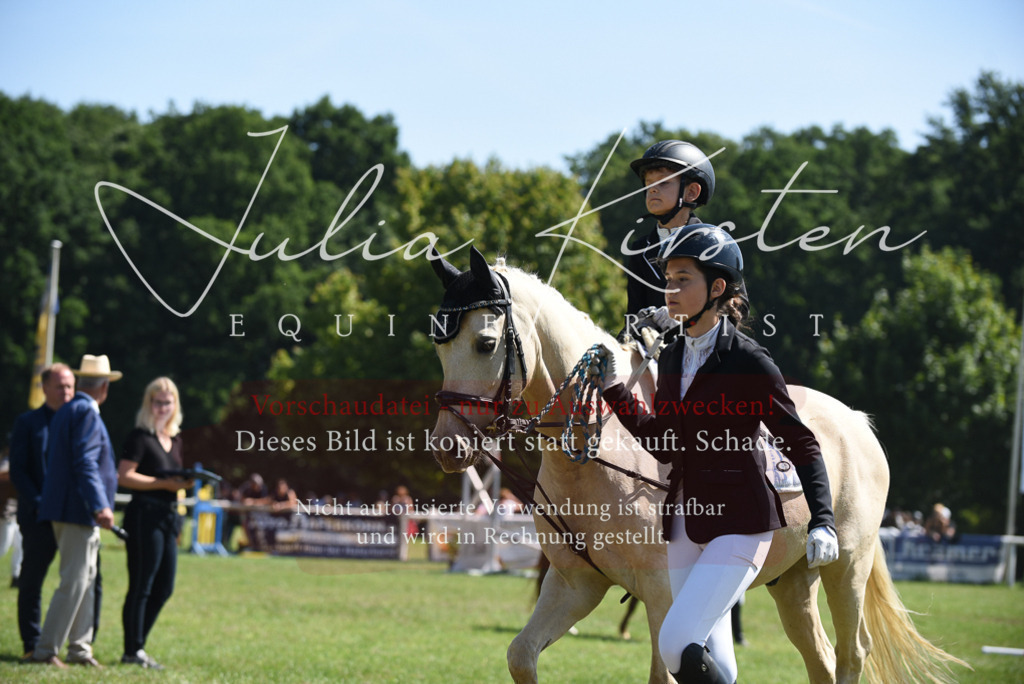 DSC_9722 | Pferde- und Turnierfotografie in Westsachsen. Pferdeportraits, Auftragszeichnungen und intuitive Kunst.