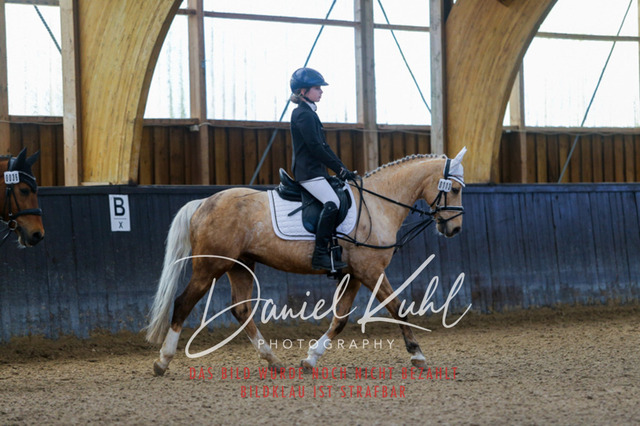 IMG_0851 | Turniersportfotografie; Pferdefotografie; Dressurfotografie