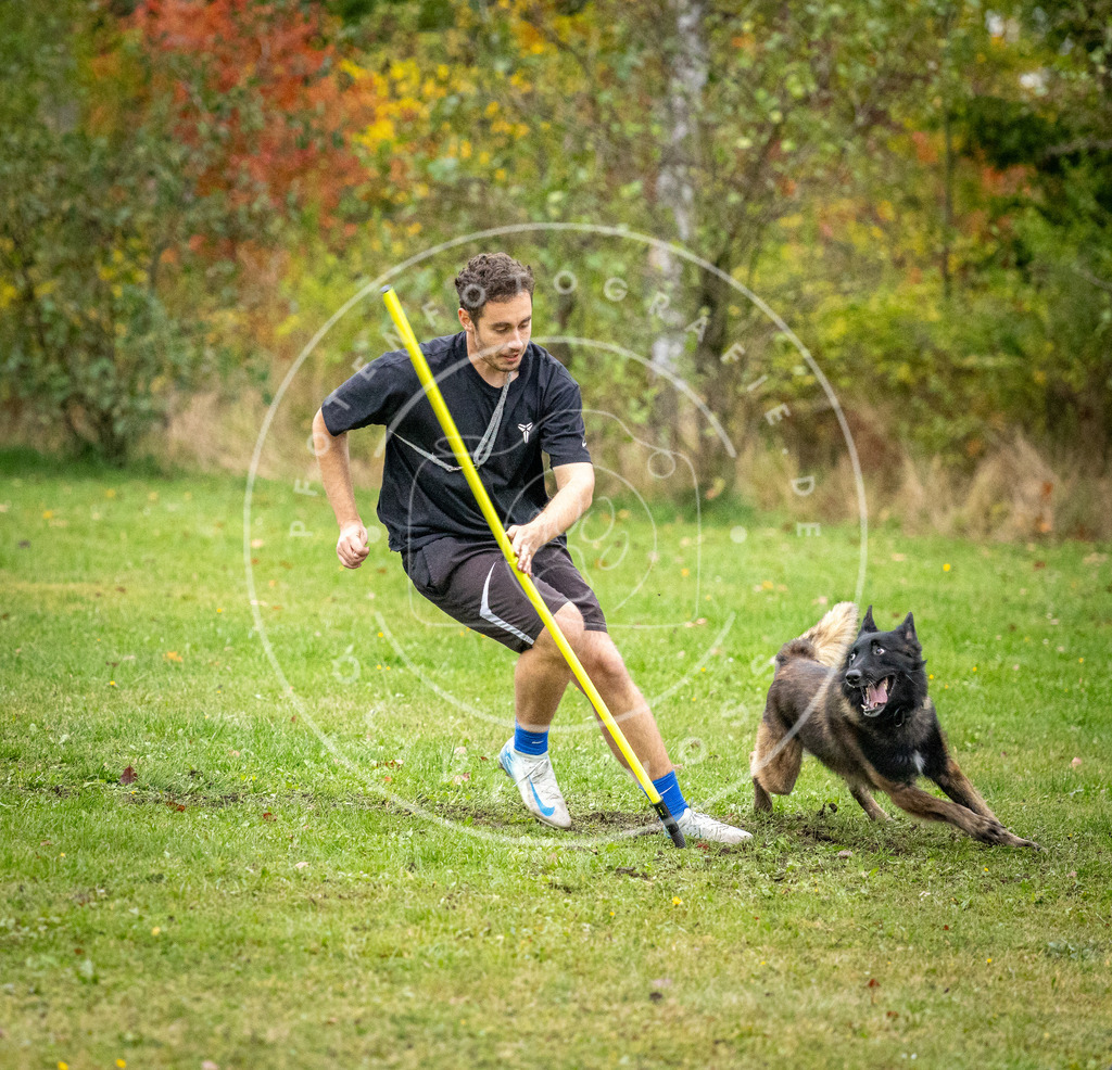 Pfotenfotografie_DV3A1034 | Hundefotografie, Tierfotograf, Pfotenfotografie, Fotoshooting Hund, Hunde Portrait, Hundesport, Hundeportraits, Heideshooting, Hunde, Sportfotograf, Hundefotograf, Turnierhundsport, THS,  - Realisiert mit Pictrs.com