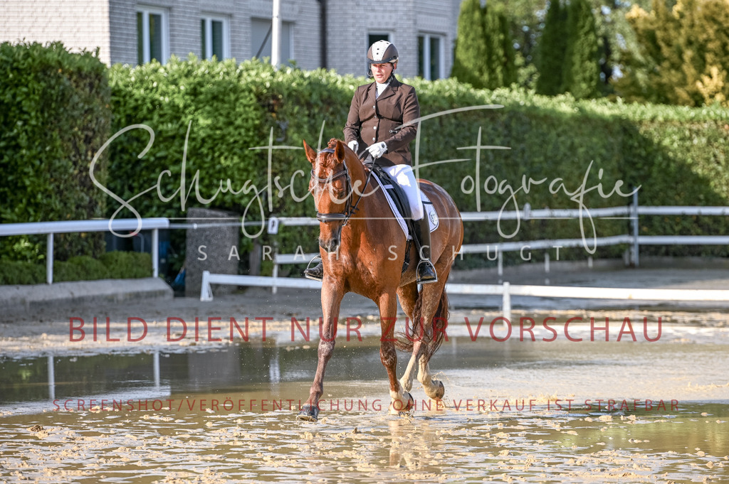 Schugtsche-Aluta25-54.Dressurprf.L1Trense-234 | Schugtsche Fotografie - Realisiert mit Pictrs.com