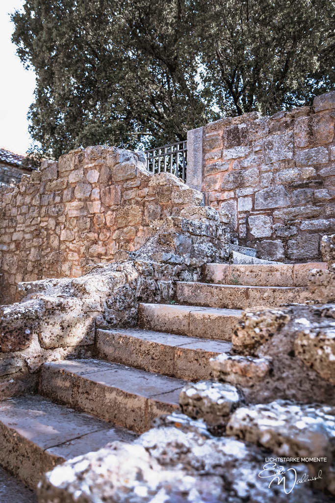 Abbeye du Thoronet | Herzlich willkommen auf meiner Seite! Ich bin Elke Wallnisch, Deine Fotografin für lichtstarke Momente. Der Name steht für alles, was mich mit der Fotografie verbindet: Das Licht und seine machtvolle Wirkung auf eine Situation oder unsere Stimmung - Realisiert mit Pictrs.com