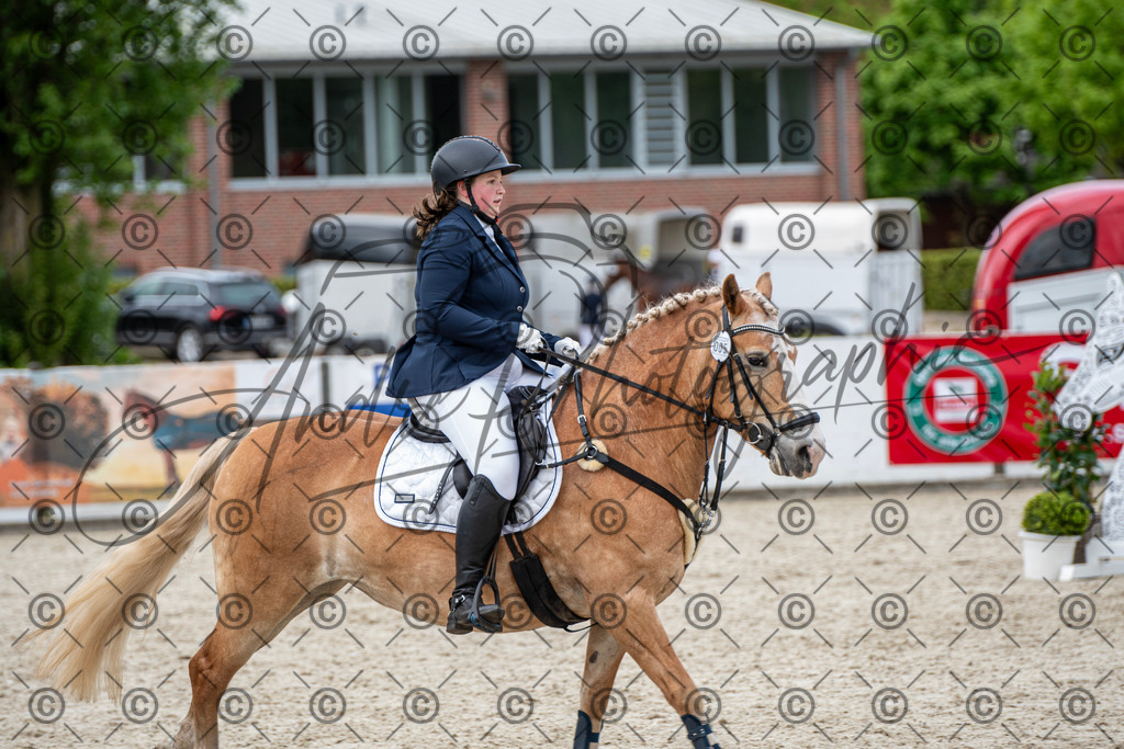 KPT_6333 | andre_photographic