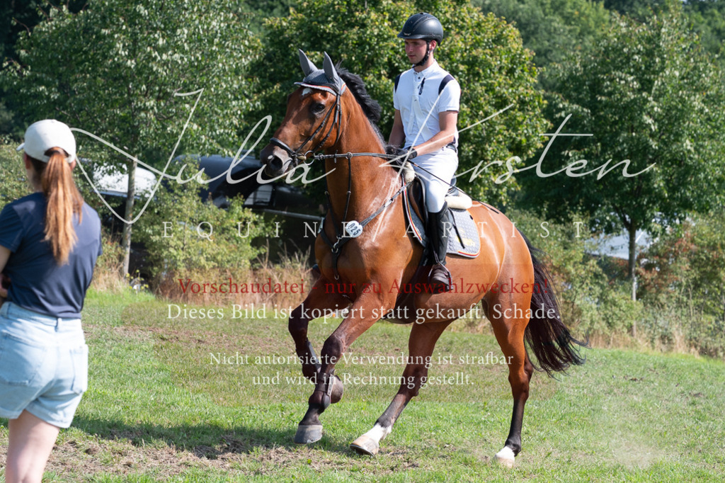 DSC_0881 | Pferde- und Turnierfotografie in Westsachsen. Pferdeportraits, Auftragszeichnungen und intuitive Kunst.