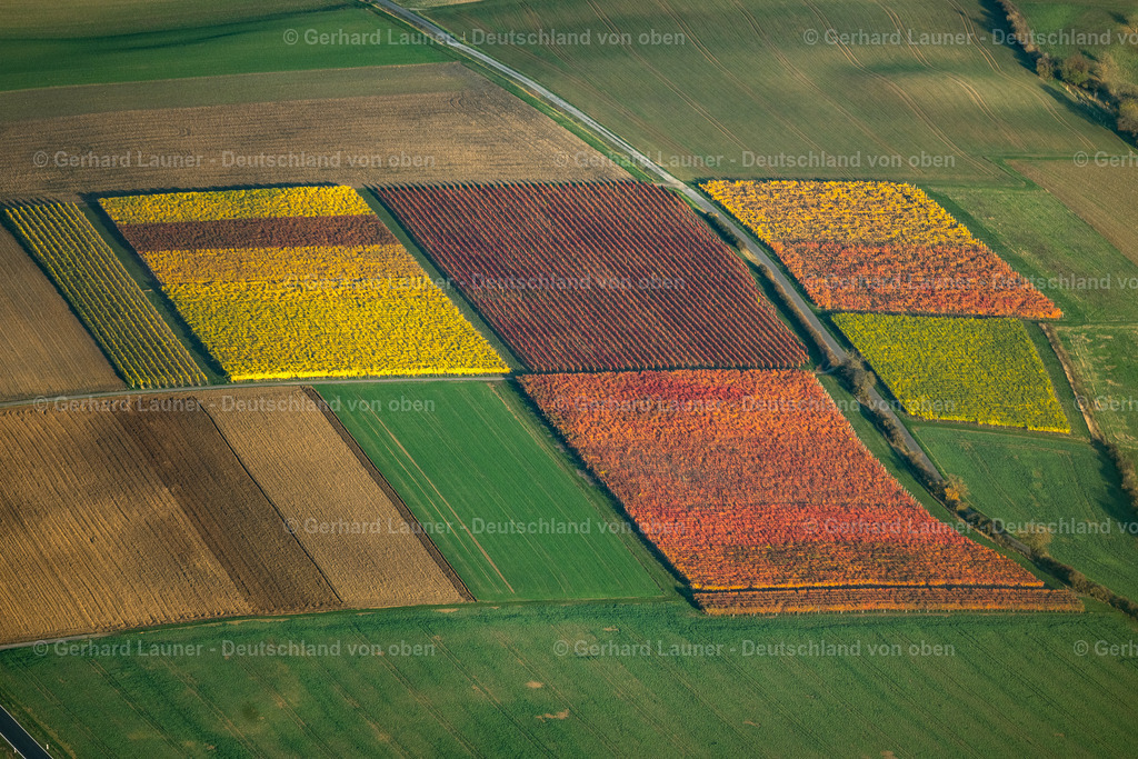 4042420 | Weinbergslandschaft an der Mainschleife bei Escherndorf und Nordheim