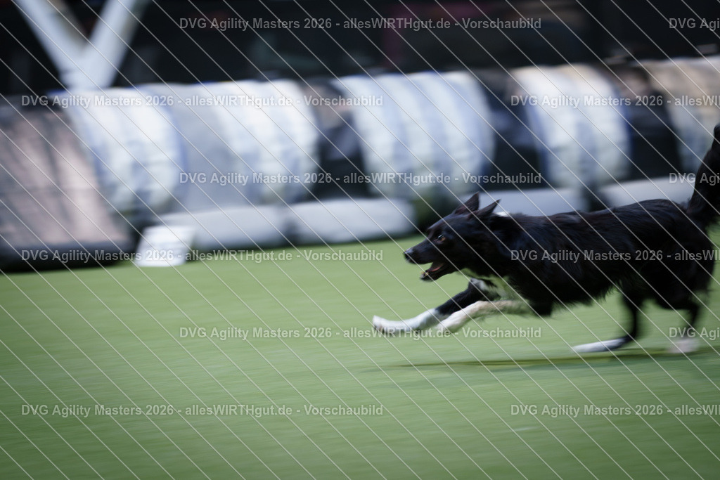 allesWIRTHgut_Tierfotografie-DVG_Agility_Masters_2026-15_58-7R507378 | Professionelle Tierfotografie in Mönchengladbach von Daniel Wirth (allesWIRTHgut). Liebevolle & natürliche Bilder von Hunden & Katzen für unvergessliche Erinnerungen.