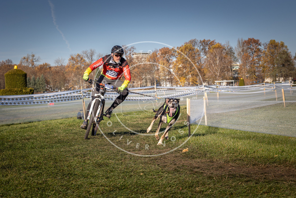 CaniXpix_0L8A5439 | Hundefotografie, Tierfotograf, Pfotenfotografie, Fotoshooting Hund, Hunde Portrait, Hundesport, Hundeportraits, Heideshooting, Hunde, Sportfotograf, Hundefotograf, Turnierhundsport, THS,  - Realisiert mit Pictrs.com