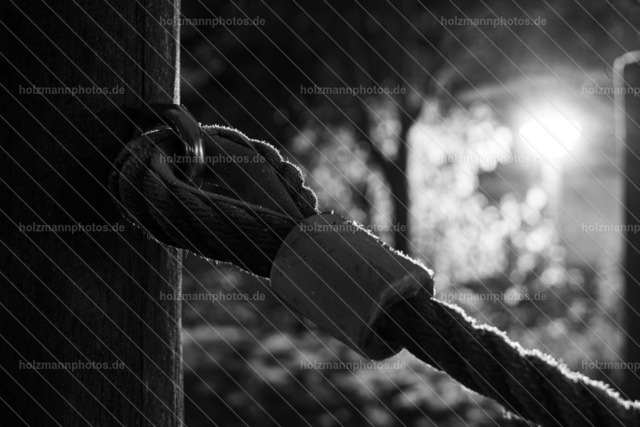 IMG_8792 | Fotograf Leipzig für Hochzeiten, Familienfeste & Porträts. Persönlich, ehrlich & echt – Emotion im Fokus. Jetzt Fotoshooting bei Holzmannphotos buchen!