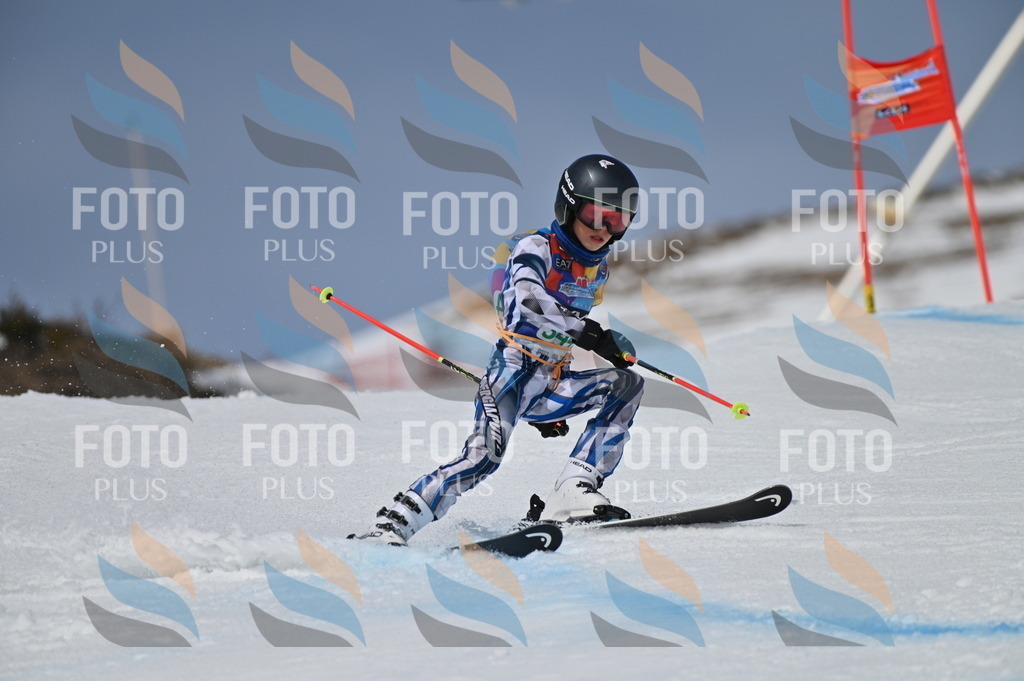 BGV_6833 | holidayphoto