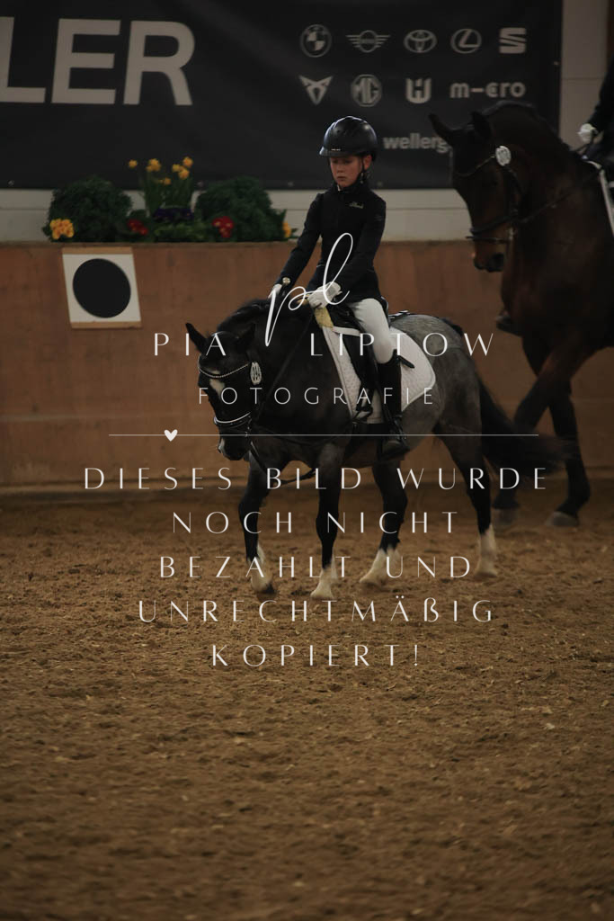 IMGT0976 | pl-fotografie