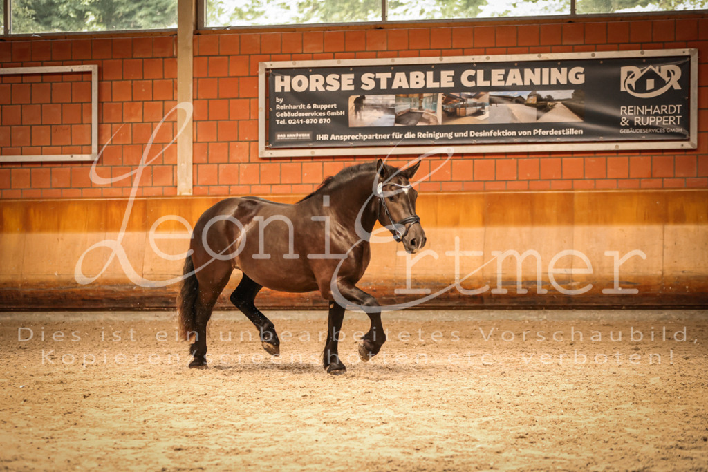 SaFL00381 | Leoni Ertmer Photography - Realisiert mit Pictrs.com