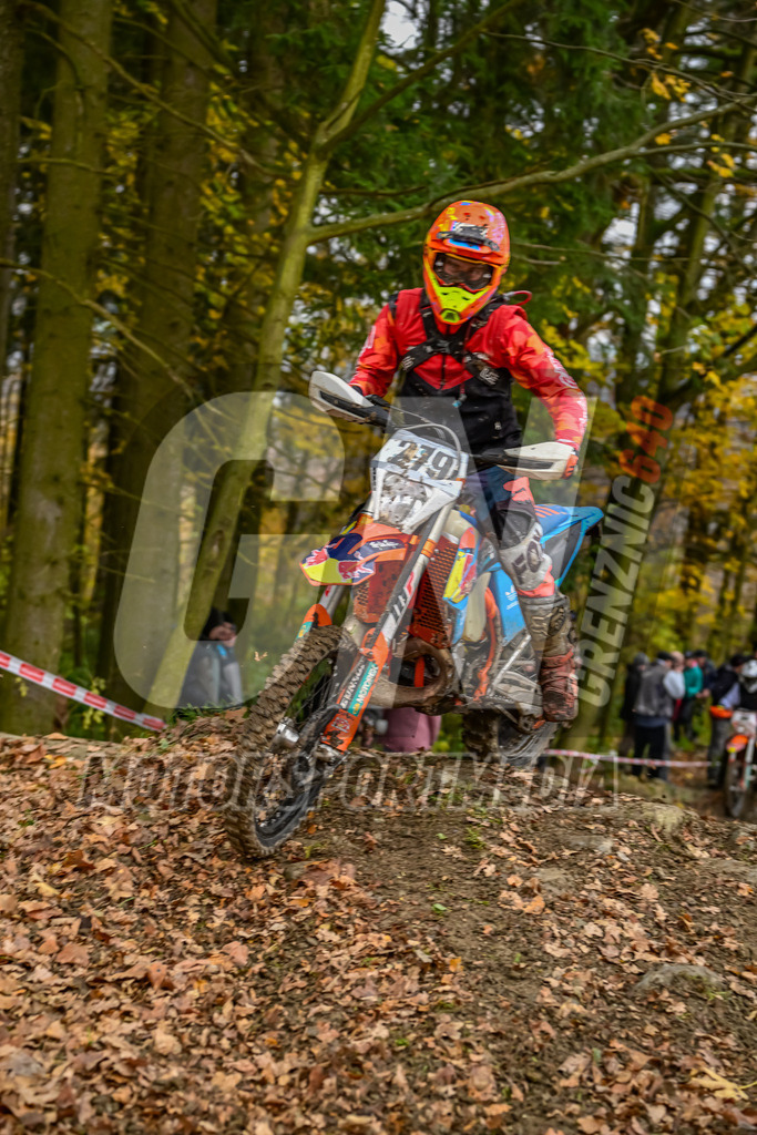 NZ8_6941 | grenznic640