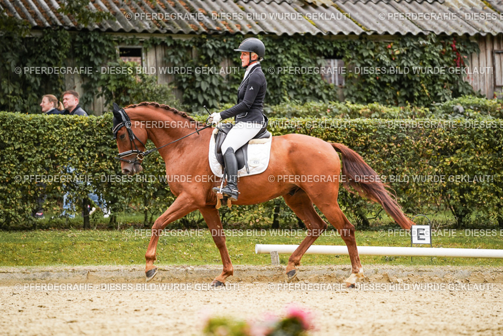 DSC08324 | Pferdegrafie