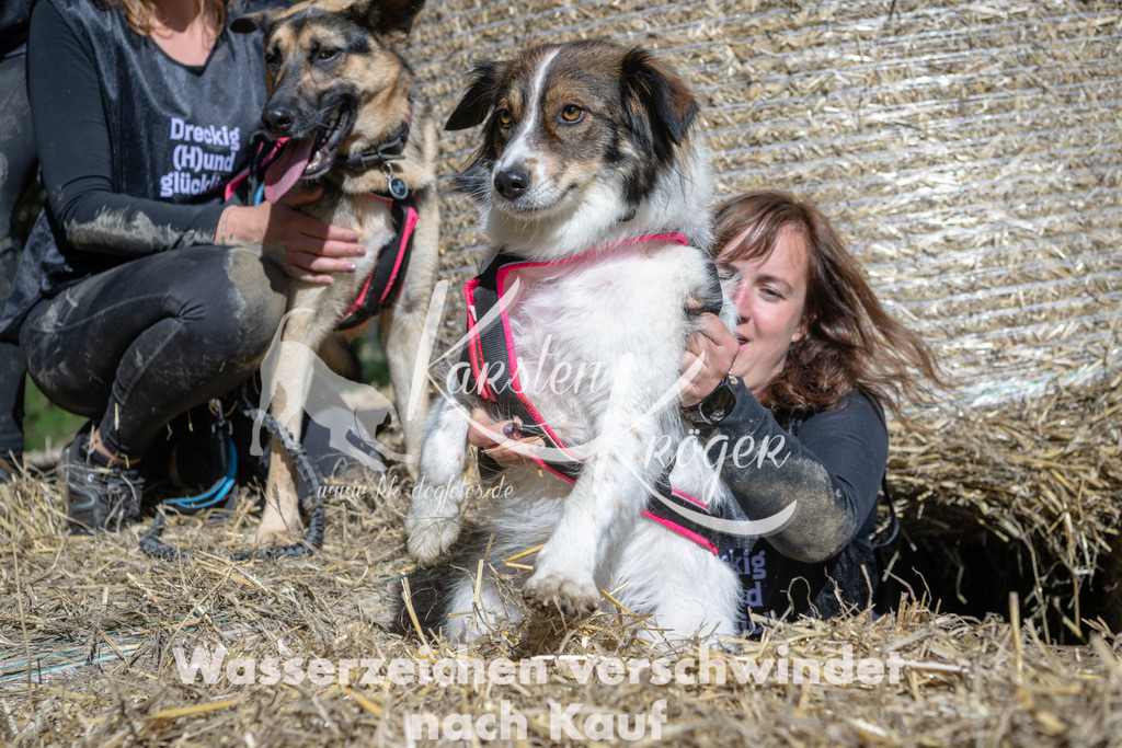 1245_ZZ92120-2 | kk-dogfotos