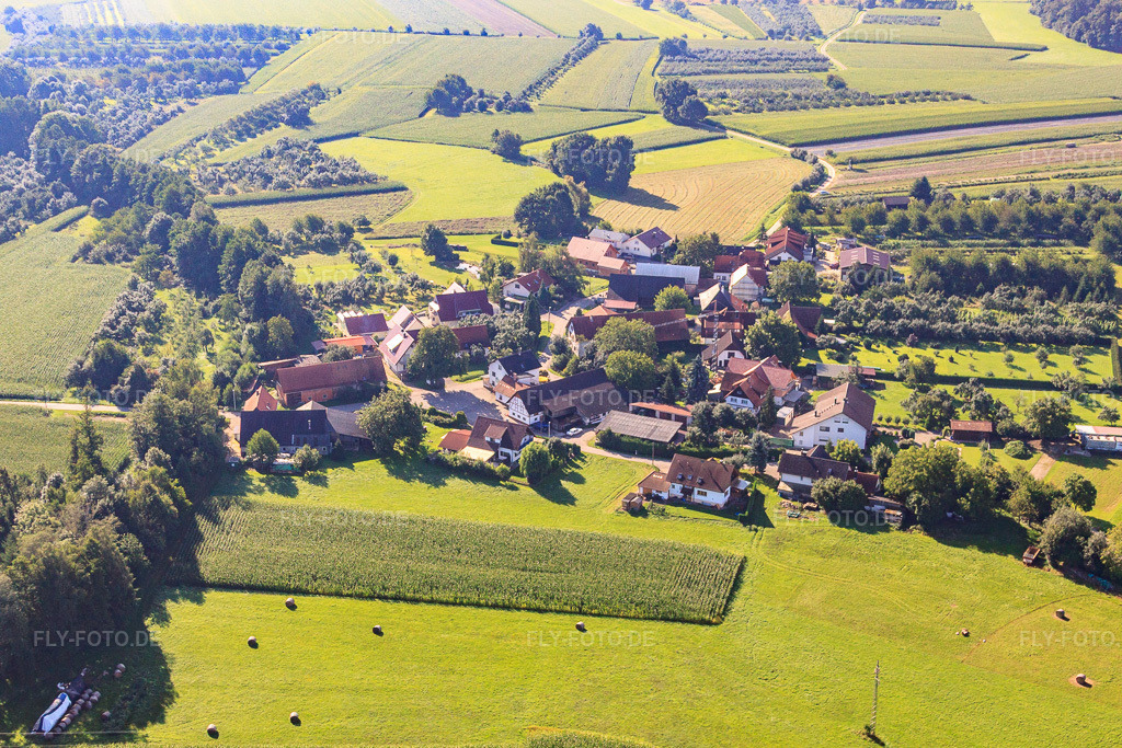 Luftbild: Ortsansicht von Nordwesten im Ortsteil Walzfeld in Ottersweier im Bundesland Baden-Württemberg in Deutschland. – Foto: IMG_31692.jpg vom 20.08.2010 durch Werner Riehm/FLY-FOTO.de – Auflösung des Originals: 4752 x 3168 px