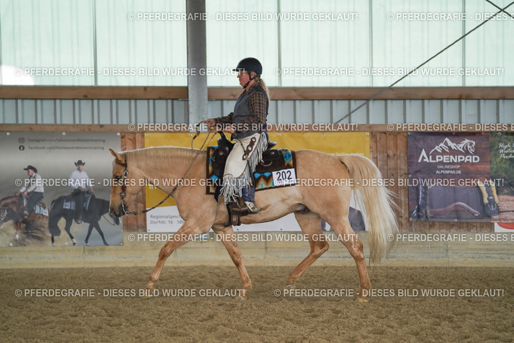 DSC00914 | Pferdegrafie